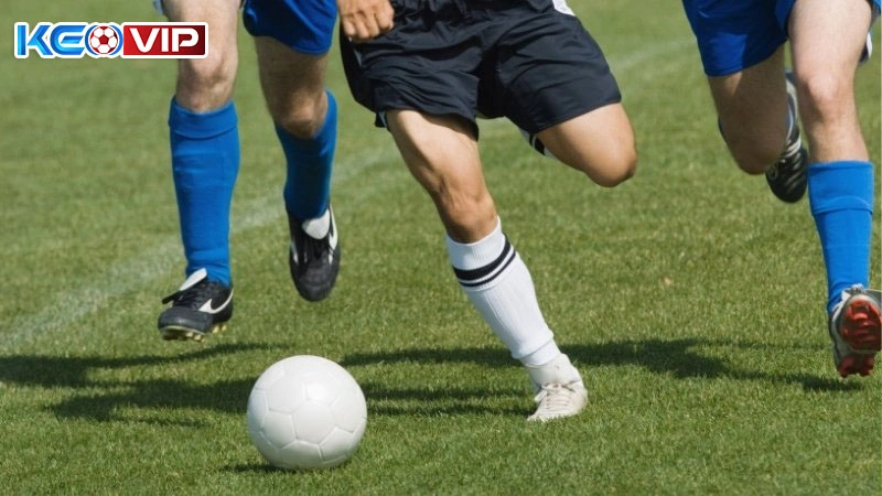 Bí kíp đặt cược để luôn chiến thắng